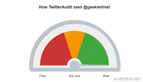 How twitter audit sees