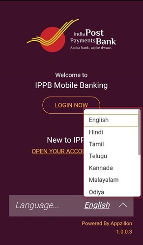 IPPB language
