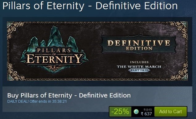 Pillars of Eternity Definitive Edition Steam