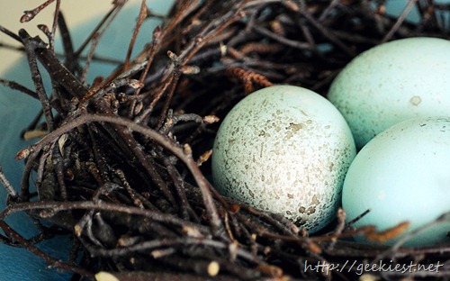 Watercolored eggs in a homemade birch-branch nest
