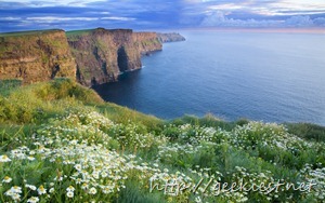 The Cliffs Of Moher in summer, with daisies growing on the cliff top. County Clare, Ireland